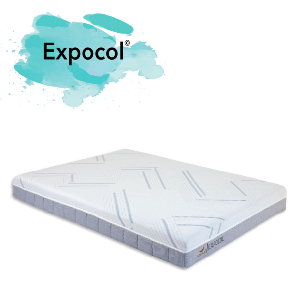 EXPOCOL